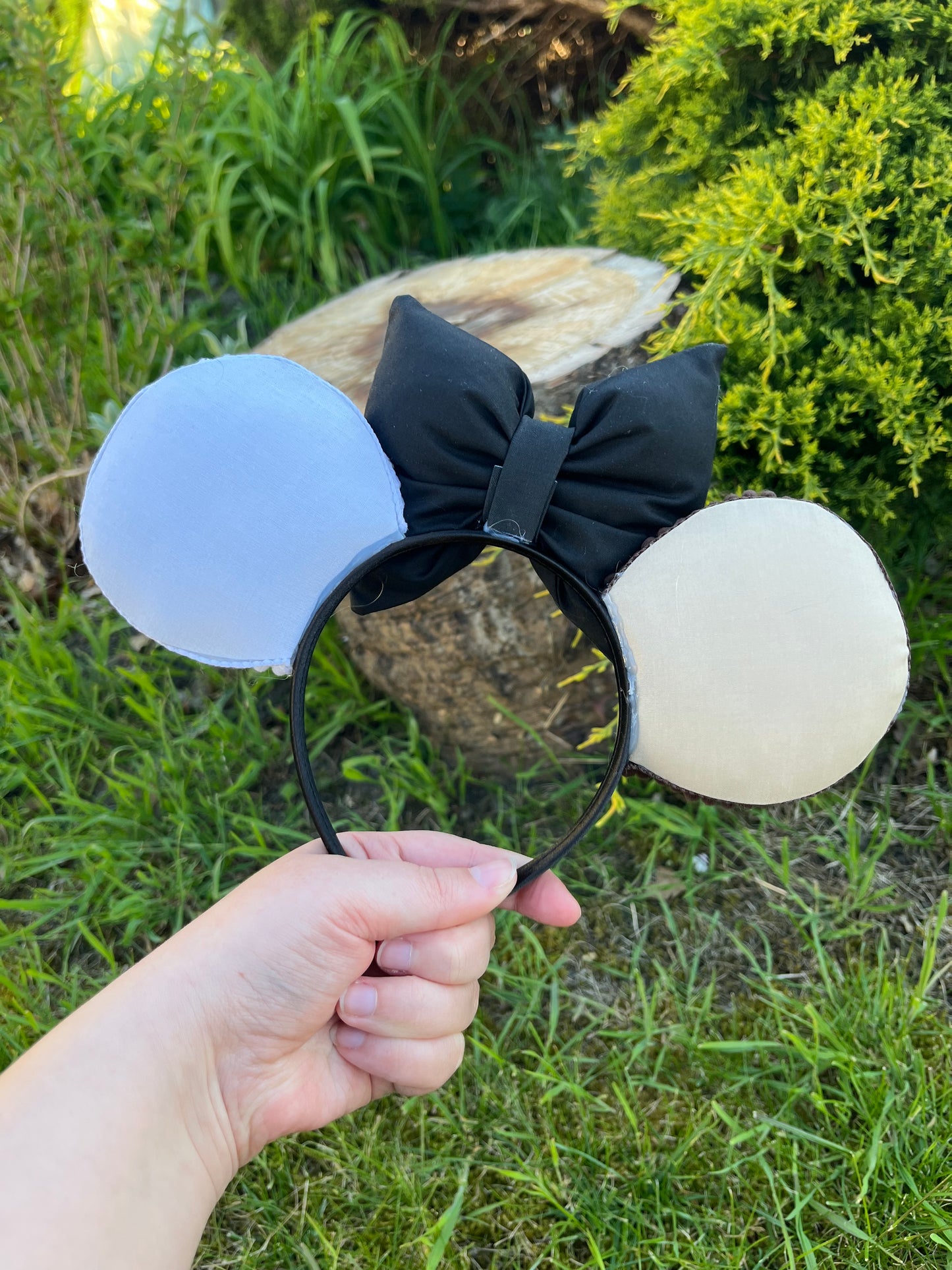Ears wall-E et Eve