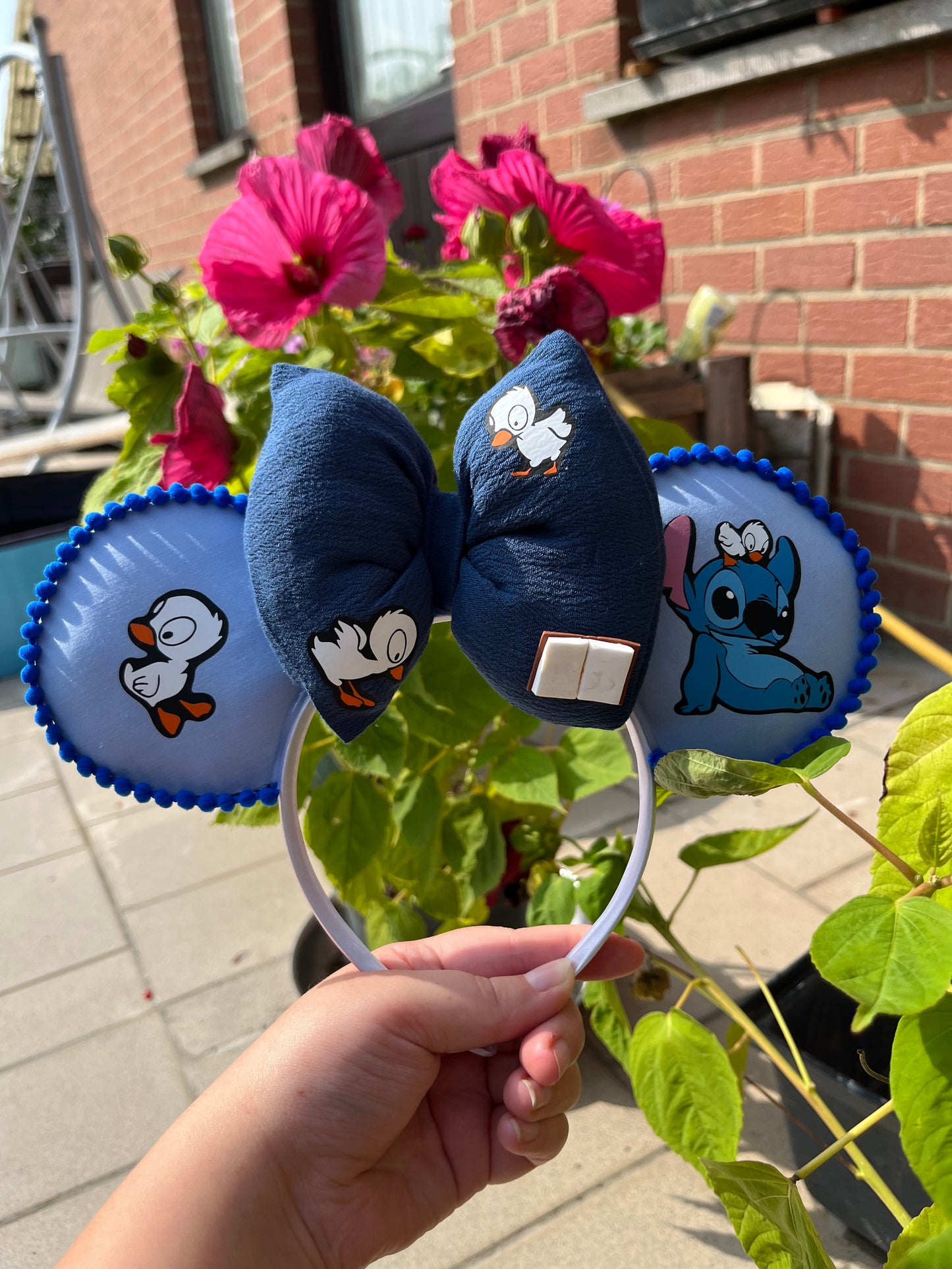 Ears Stitch canards