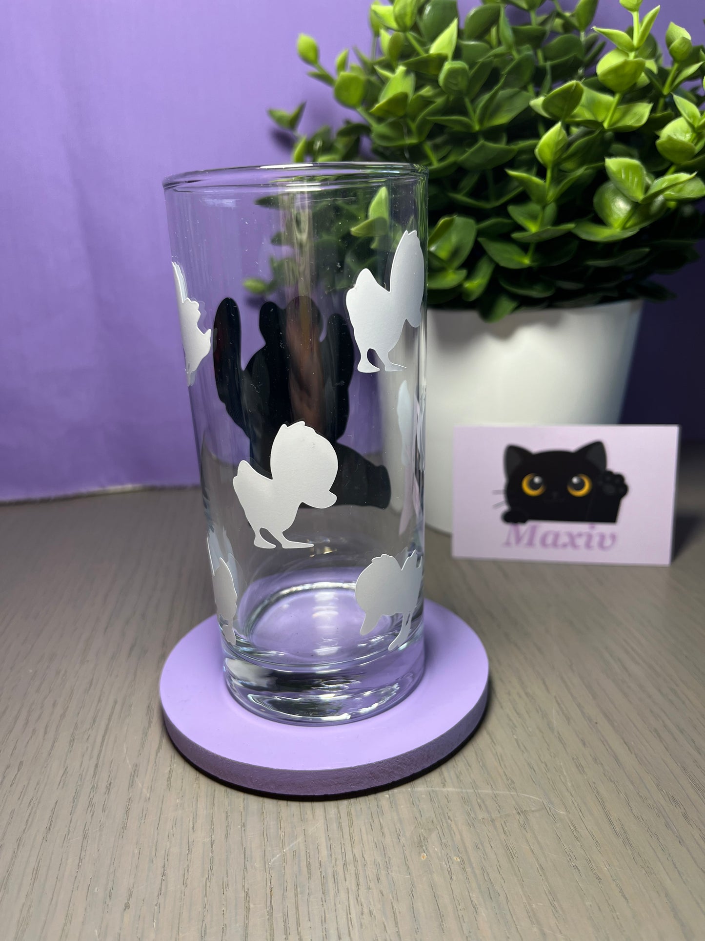 Verre Stitch canards