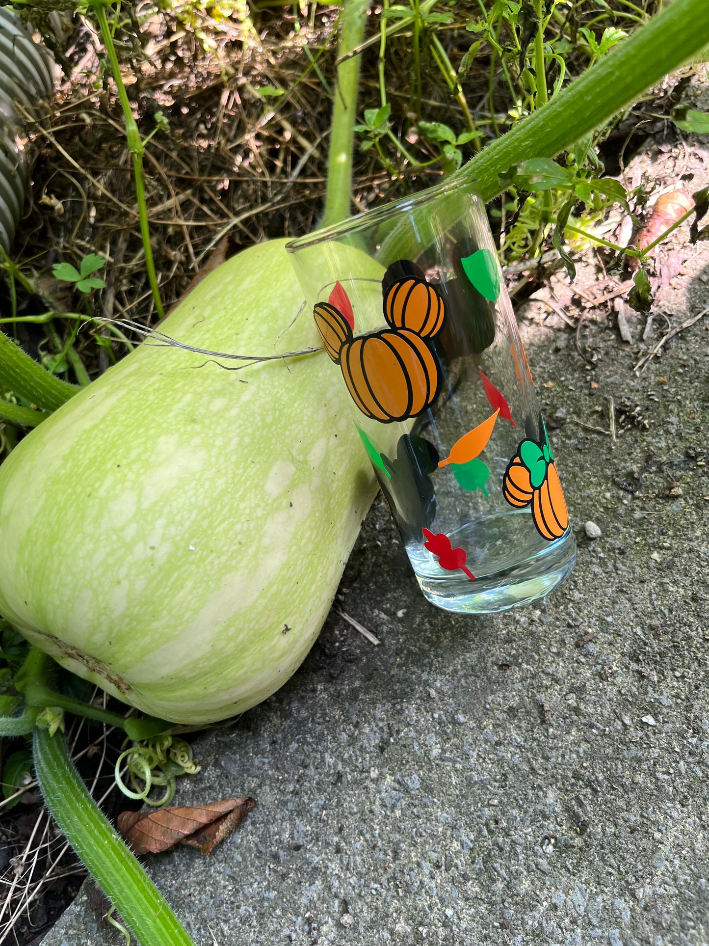 Verre citrouilles Mickey Minnie